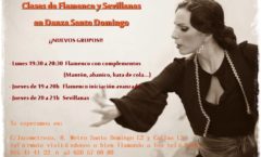 Clase de Flamenco y Sevillanas en madrid